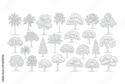 Collection of diverse trees and palm trees in a grey line drawing style pine tree oak tree