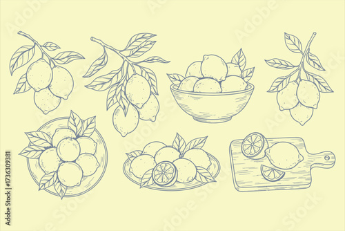 Hand Drawn Lemons on Branches Plates Bowl and Cutting Board fruit citrus 1