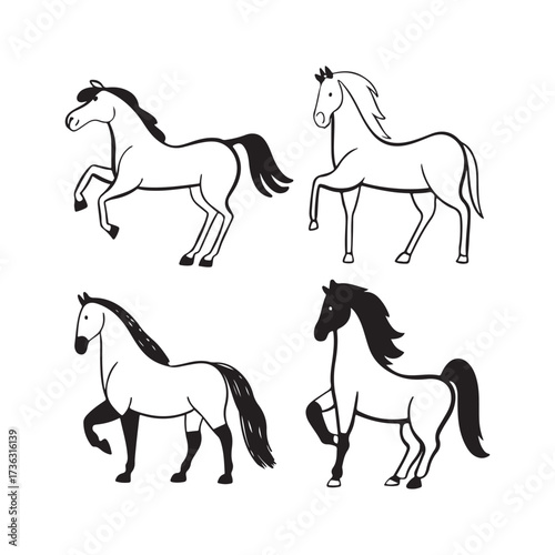 Line Art Horse Illustrations