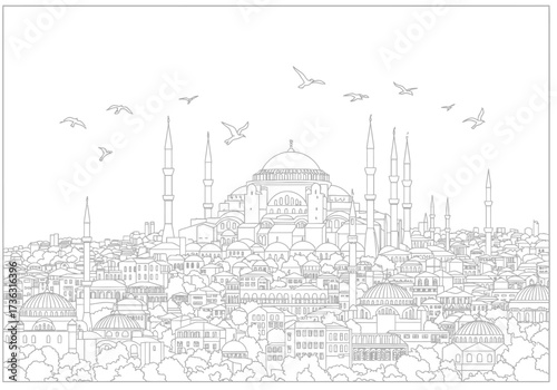 Outlined cityscape of Istanbul featuring architecture  birds in a monochromatic style