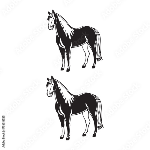 Cute black horse vector illustration