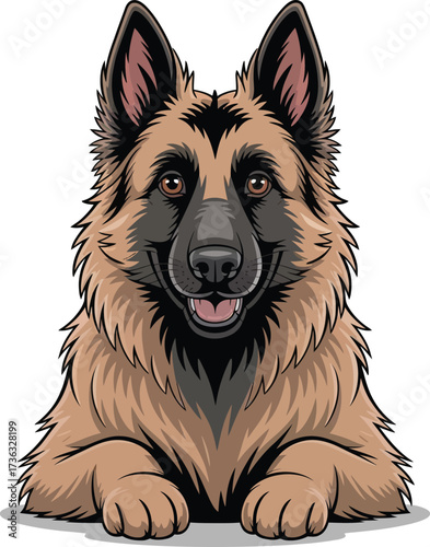 Cute cartoon a illustrator vector Belgian Shepherd