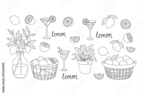 Hand drawn lemons in baskets and cocktails with leaves and text fruit citrus