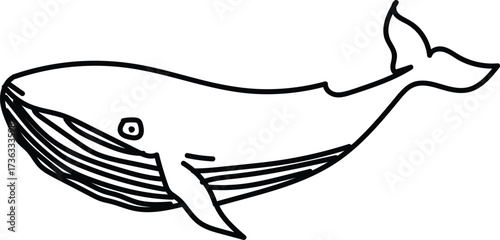 Blue Whale Hand Drawn Doodle Art Sketch, Blue Whale Doodle Sketch, Blue Whale Doodle Drawing Illustration