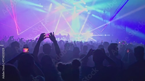 crowd at concert
