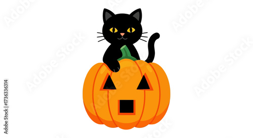 black cat on pumpkin a spooky halloween illustration festive fall season graphic for greeting cards and halloween social media posts isolated