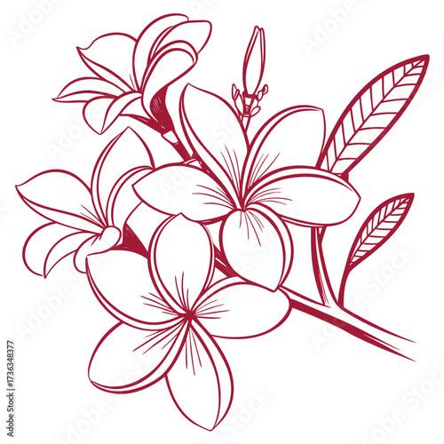 frangipani pink flower with leaves