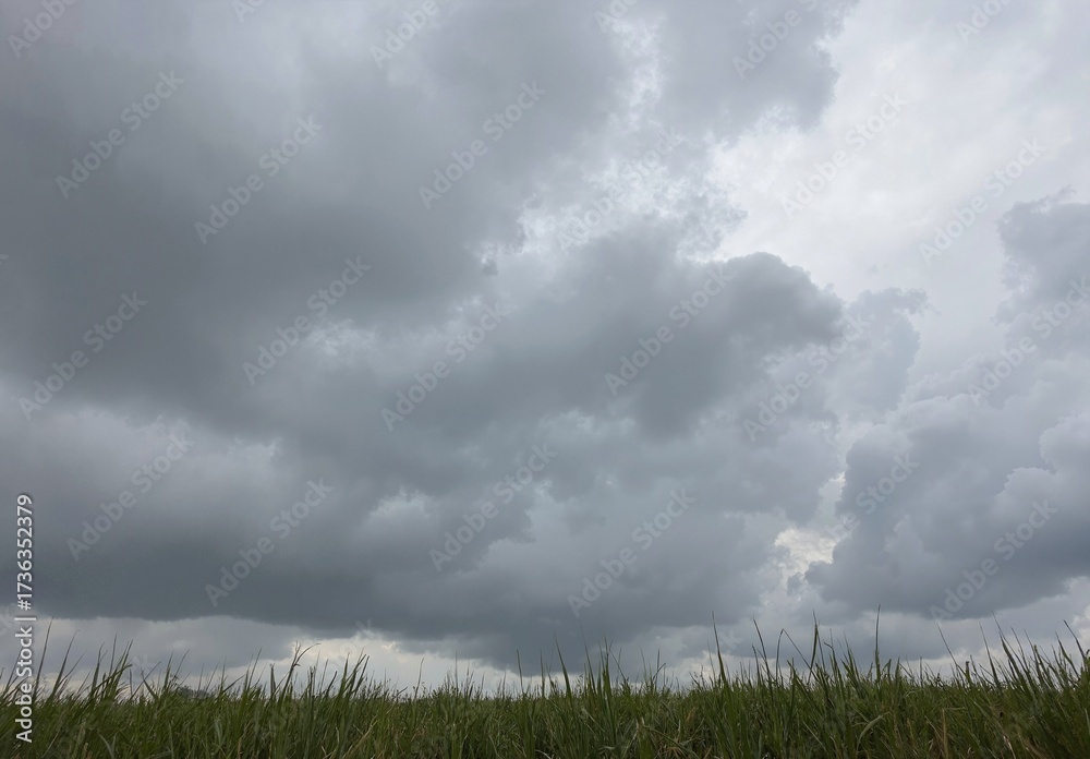 Obraz premium Low angle green grass field with winding narrow footpath leading to distant rolling horizon under ominous dark storm clouds 