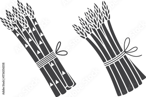 Two bunches of fresh asparagus tied with twine on a white background