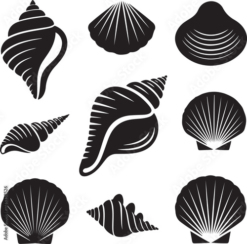 Black and white seashell silhouettes conch scallop