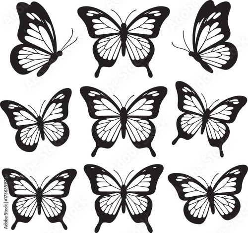 Black butterflies with white wing patterns butterfly