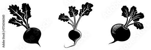 Modern flat style illustration of radish with leaves isolated on a white background