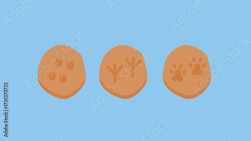 Cookies with animal and bird footprints. Vector illustration in flat style. Isolated on a blue background.