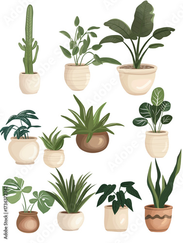 Illustrated Collection of Indoor Potted Plants