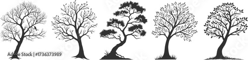 Collection of detailed tree silhouettes in various natural shapes. Elegant black vector illustrations for landscapes, design, and creative artworks. Ideal for nature-inspired projects.