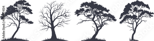 Silhouette set of trees with different seasonal appearances. Detailed black vector illustration of nature elements. Perfect for design, landscape, and creative artwork projects.