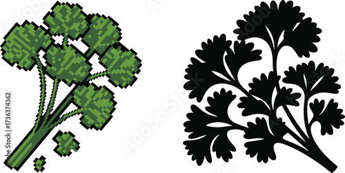 Fresh parsley sprig and silhouette illustration