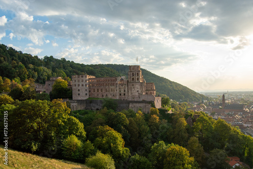 Heidelberg castle amidst lush greenery