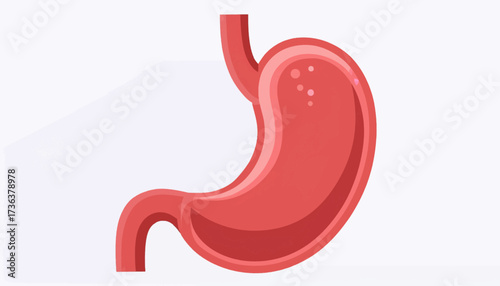 Illustration of a human stomach with visible internal structures, depicted in a simplified, cartoonish style against a plain background.