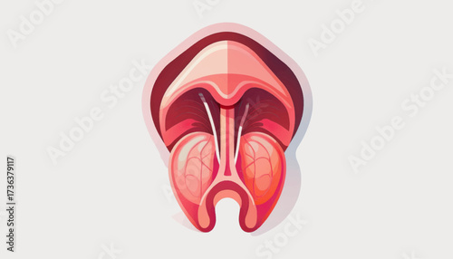 Stylized illustration of the human throat showing the tongue, tonsils, and uvula in a simplified anatomical view.