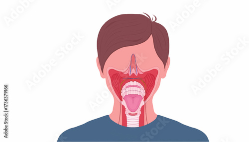 Anatomical illustration of a human head with an open mouth, showing the oral cavity, pharynx, and nasal passages.