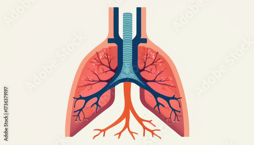 Stylized anatomical illustration of human lungs and trachea, depicting branching airways and blood vessels within the thoracic cavity.
