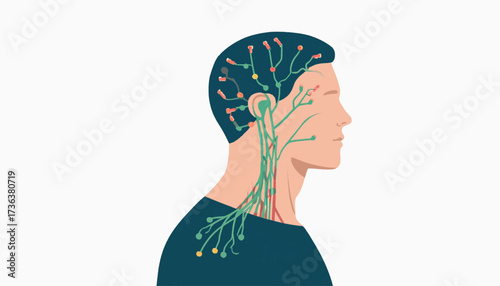 Illustration of a human head and neck showing the lymphatic system and lymph nodes.