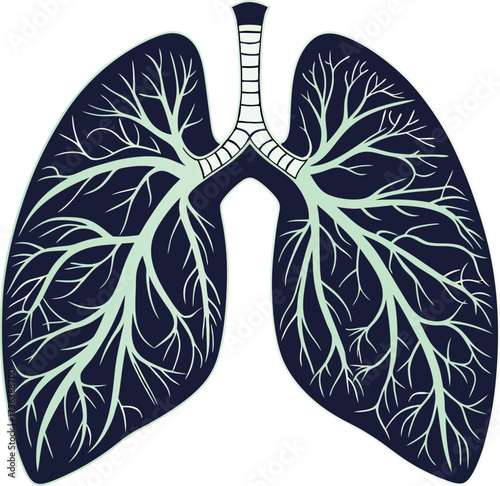 Detailed lung illustration showing respiratory system anatomy for medical education and healthcare promotion, originally a scalable vector graphic