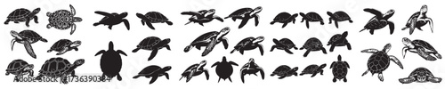 Set of turtle silhouette vectors