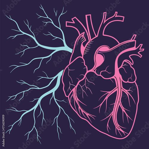 Modern anatomical heart design with vibrant pink and teal accent, perfect for medical illustrations, health graphics, or innovative wellness branding