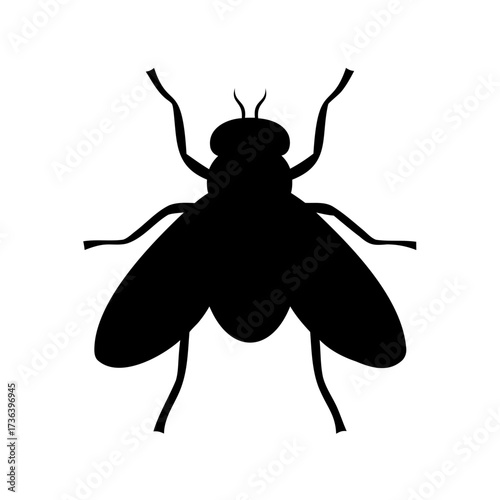 Black silhouette of a common housefly in a simplified iconic form
