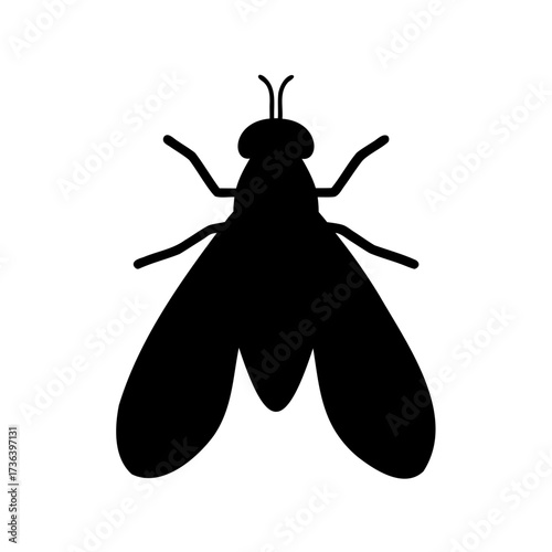 Simple, bold black silhouette illustration of a common house fly insect