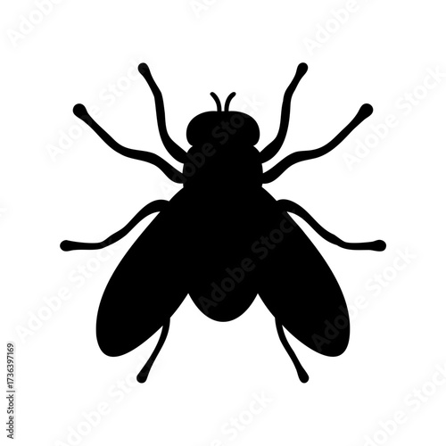 Black silhouette of a fly insect with transparent wings on white