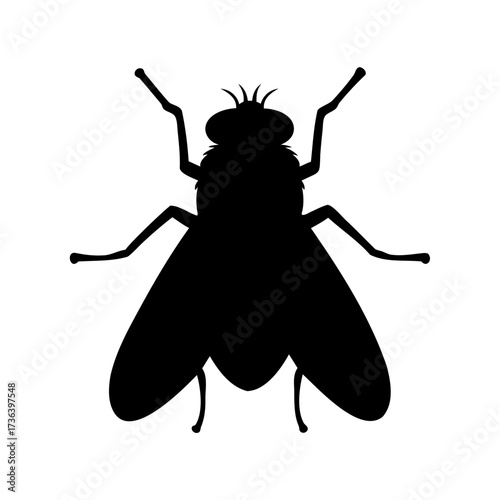 Silhouette of a common housefly, depicting a winged insect in black color