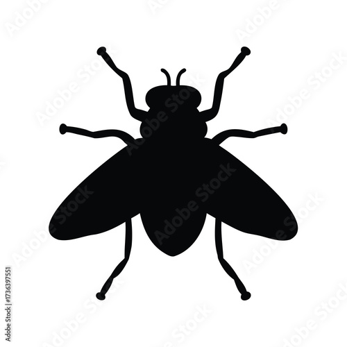 Detailed silhouette illustration of a common housefly, representing pest control or nature