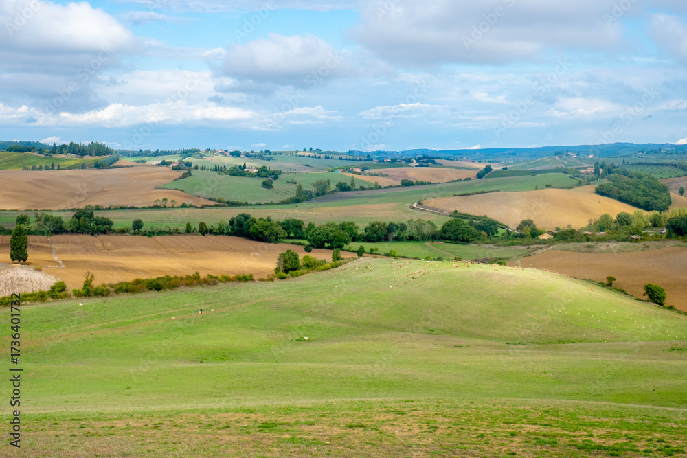 Obraz premium I campi e le colline della Toscana, Italia, con i cipressi, i prati e le coltivazioni tipiche tra Siena e Firenze lungo la via Romea Sanese