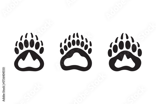 Three black bear paw prints on a white background