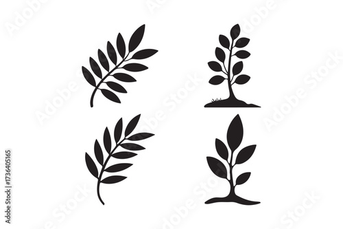 Four silhouette illustrations of growing plants and leaves