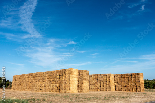 Walls of giant straw bales stacked in a harvested field under a blue sky in Urgell, Catalonia