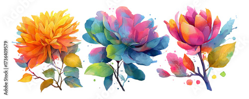 Colorful Floral Illustration with Transparent Background and Art Style