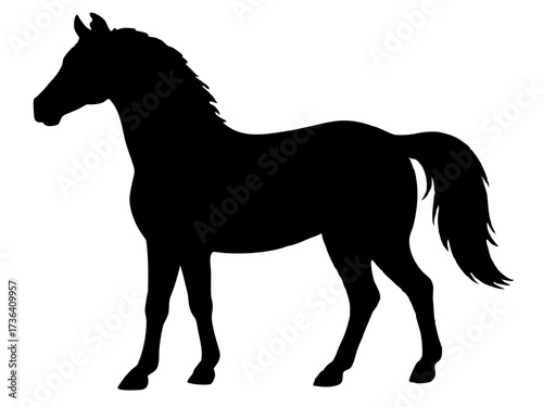 Horse silhouette,morgan horse black silhouette vector