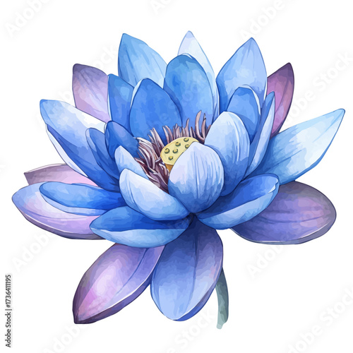 watercolor vector of Blue Lotus, isolated on a white background.
