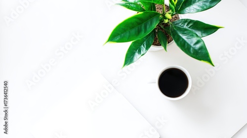 executive. Minimalist workspace with coffee cup and greenery, showcasing simplicity and productivity from above. lifestyle magazines.