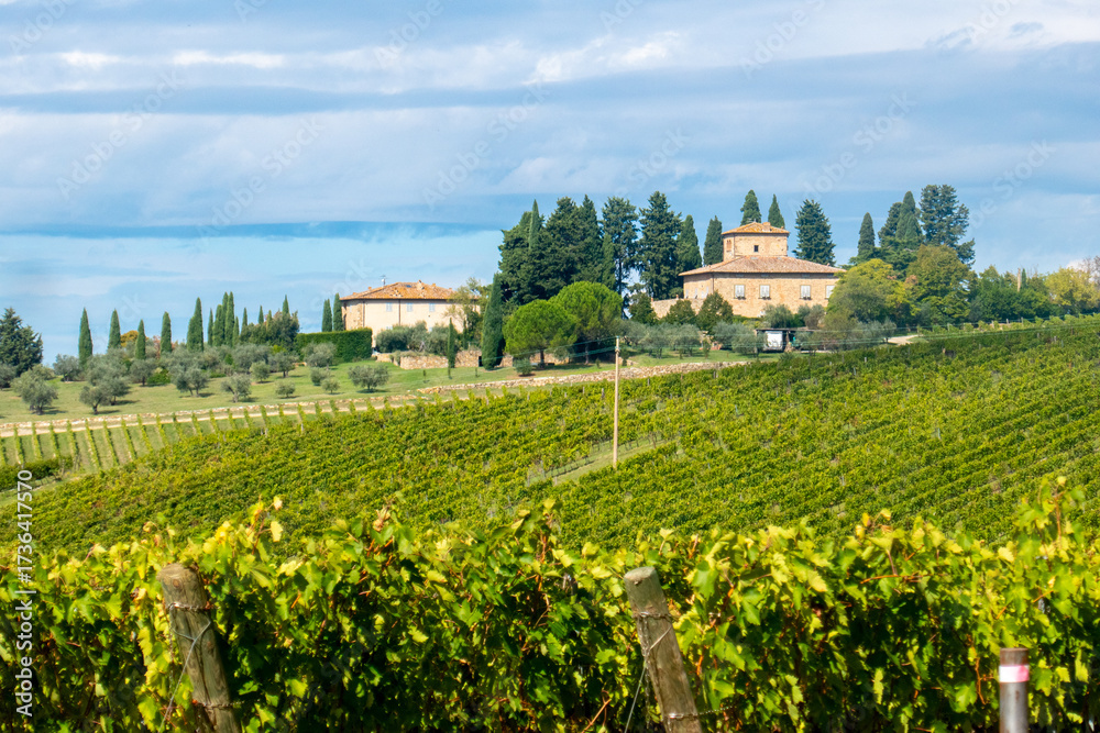 Fototapeta premium Un caseggiato tra le coltivazioni in Toscana, Italia, nella zona del Chianti tra Siena e Firenze, lungo la via Romea Sanese