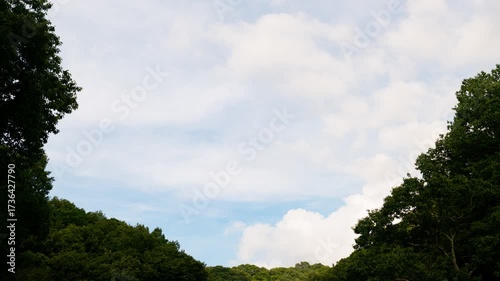 Timelapse of cloud development over forest in Okayama prefecture, Japan