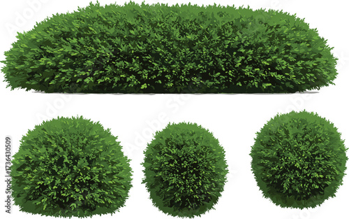 "Set of green bushes and hedge illustration with rounded and elongated shapes, dense foliage, and natural garden design elements"