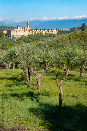 La Certosa di Firenze, Toscana, Italia, attorniata da vigneti , boschi e alberi