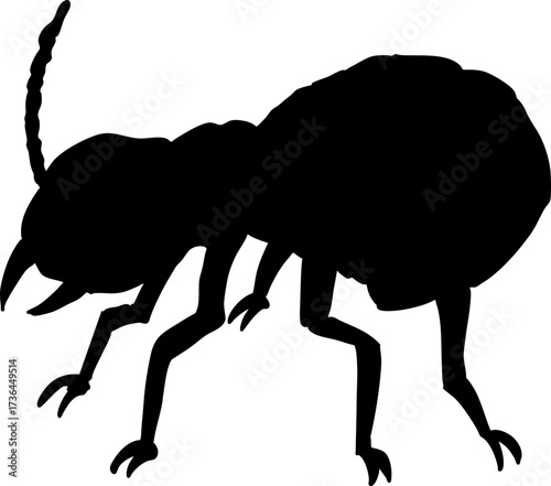 Black Silhouette Of A Termite