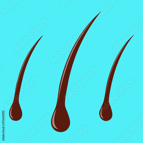 Healthy Hair Follicles Showing Smooth Shafts and Deep Roots, Symbolizing the Result of Effective Hair Care Products and Routine	