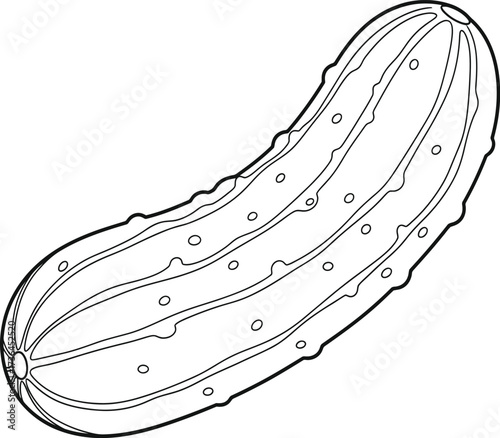 Detailed Outline of a Fresh Cucumber or Pickle - Vegetable Line Art for Coloring and Food Designs